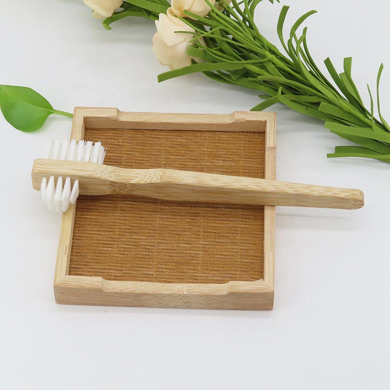 Bamboo Dental Appliance Cleaning Brush