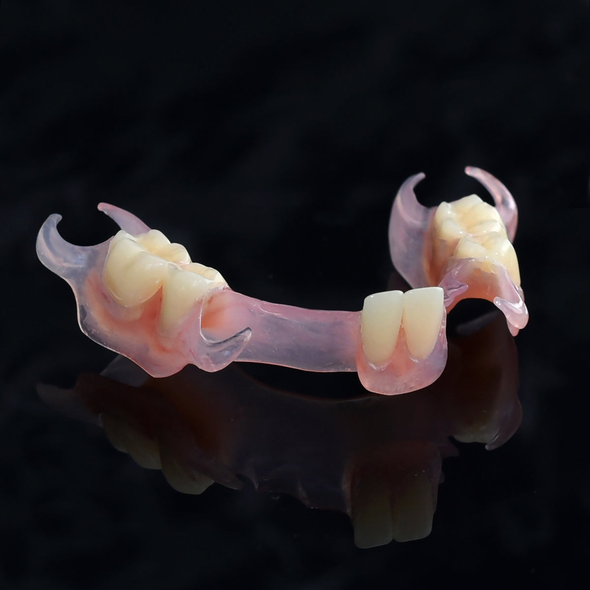 Flexible Partial Denture