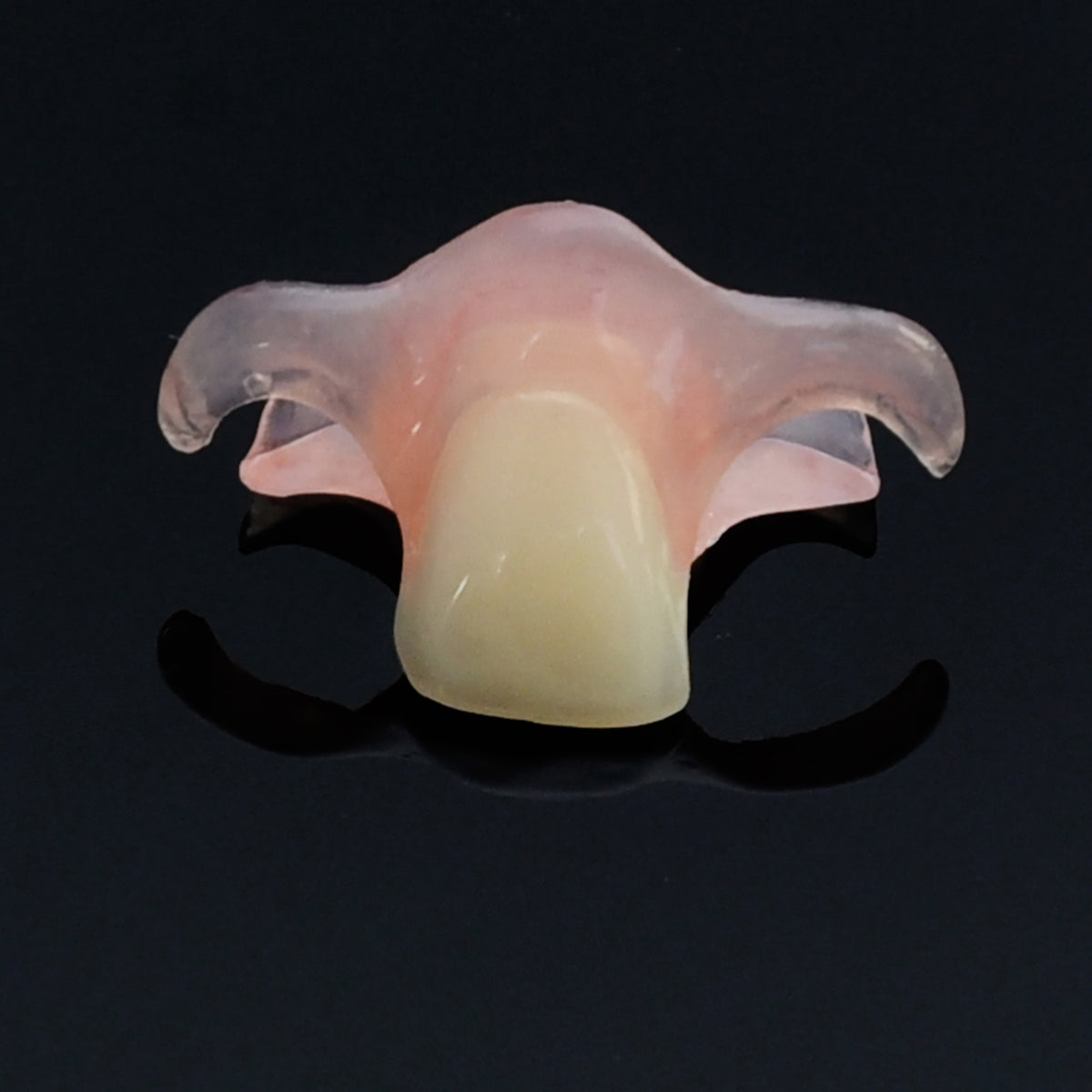 Nesbit (Unilateral) Partial Denture Flipper