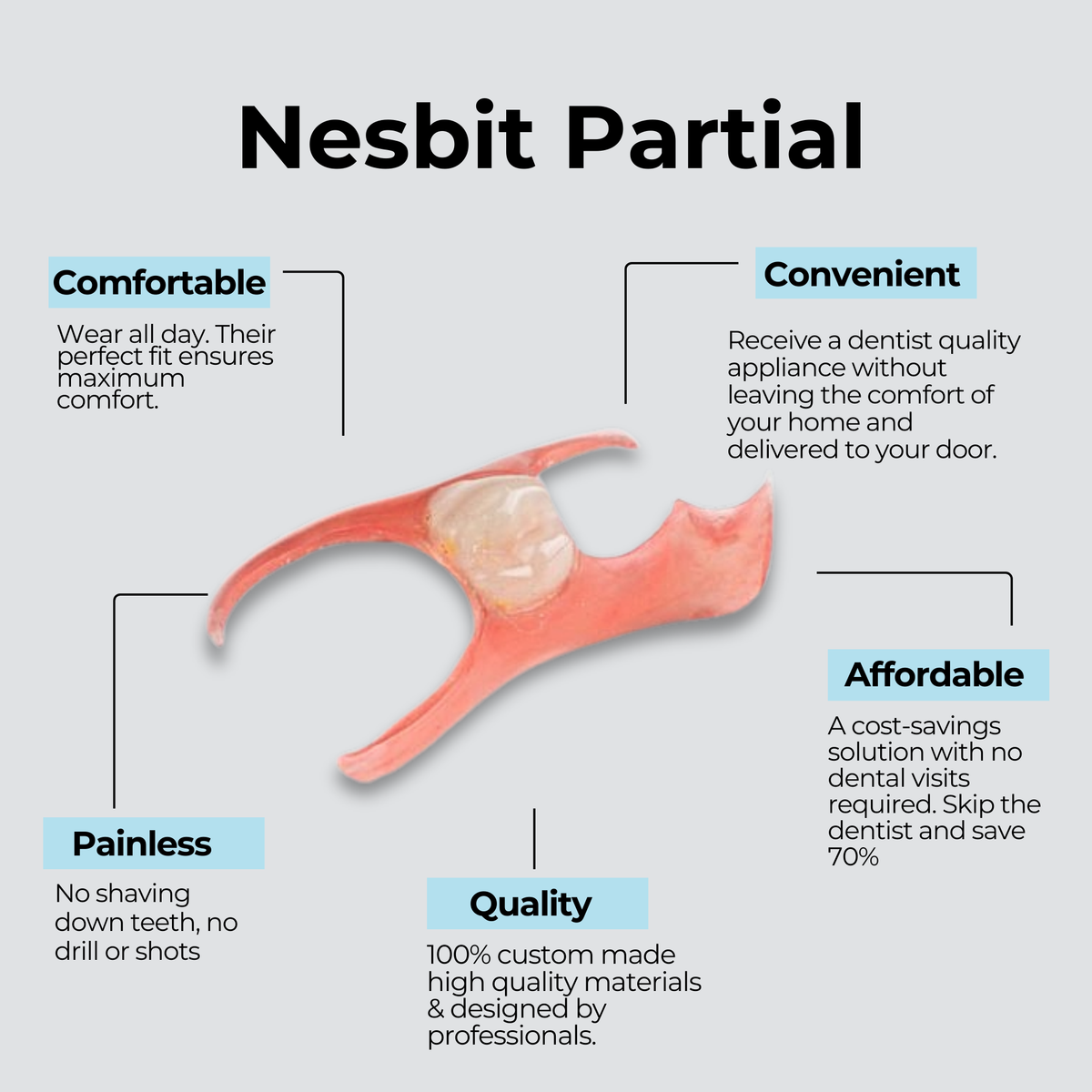 Nesbit (Unilateral) Partial Denture Flipper