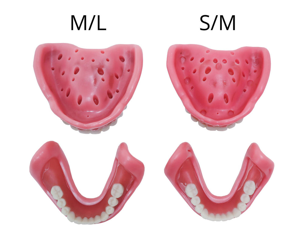 What sizes of Easy Denture are available?