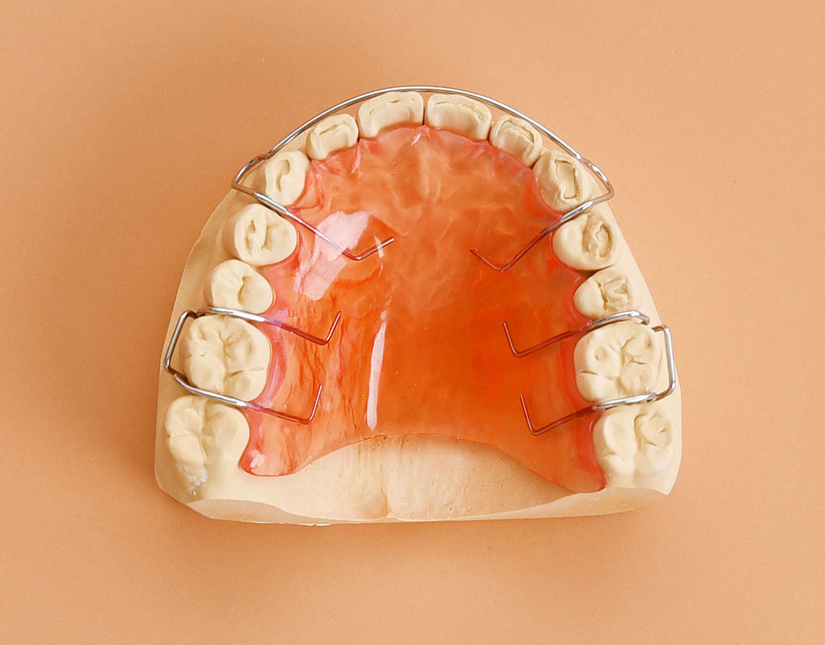 Hawley Orthodontic Retainer