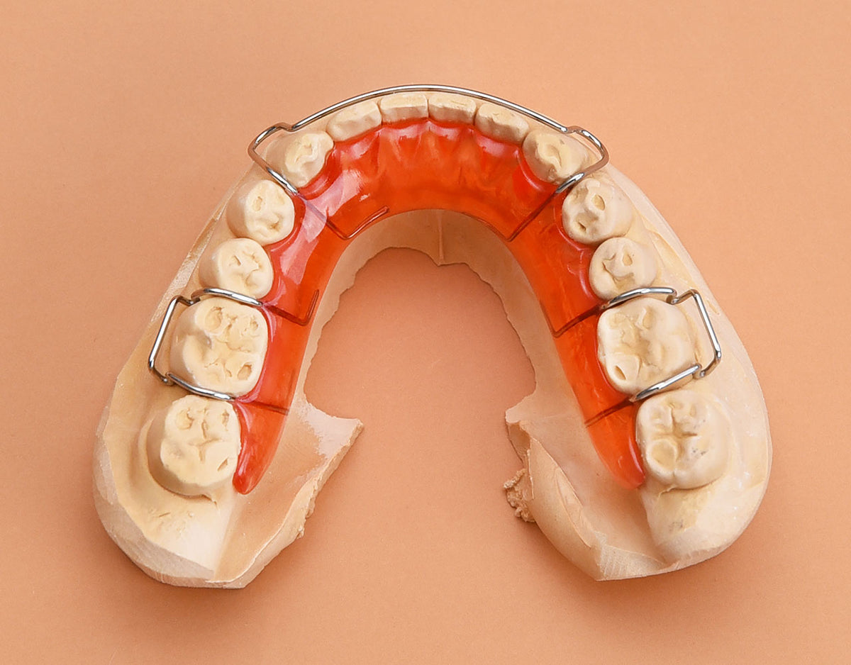 Hawley Orthodontic Retainer