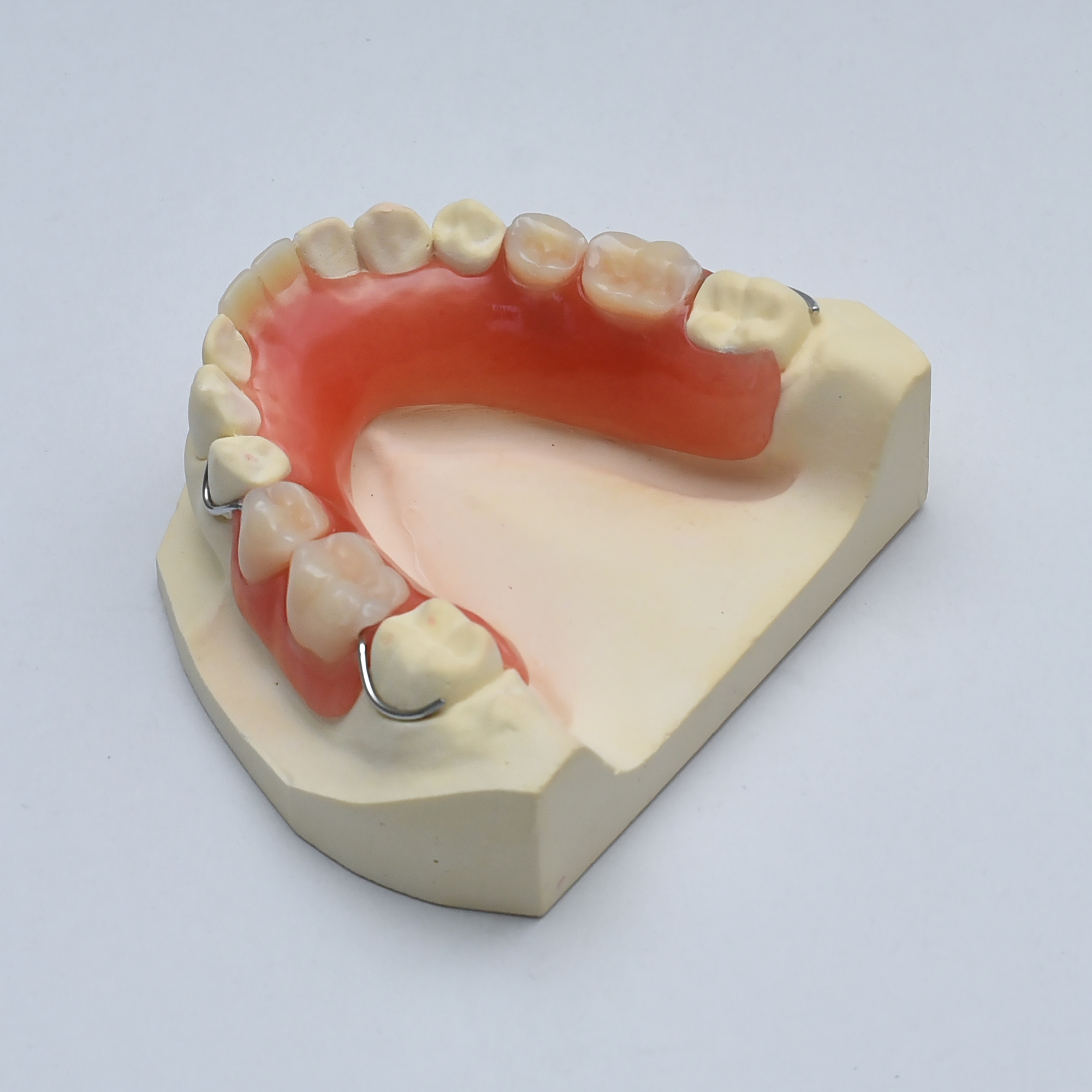 Acrylic Partial Dentures Pictures Acrylic Partial Dentures Pictures