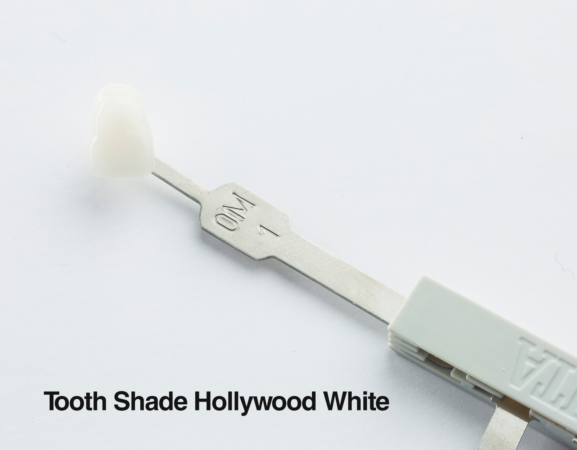 Nesbit Flexible Partial Denture Dental Lab Direct