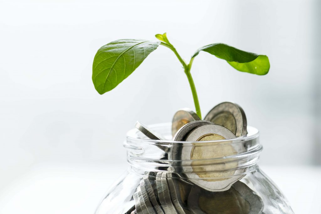 A jar of coins with a sapling